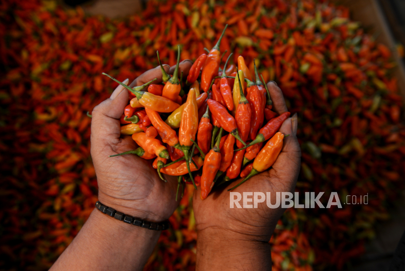 Harga Melonjak, Kementan Pastikan Pasokan Cabai Aman Jelang Ramadhan