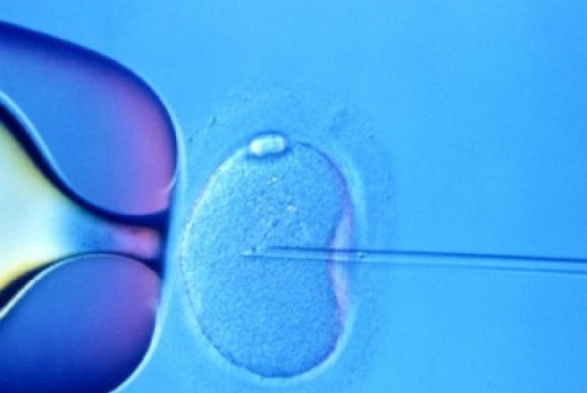 Mengenal IVF, Harapan Bagi Pejuang Dua Garis Biru