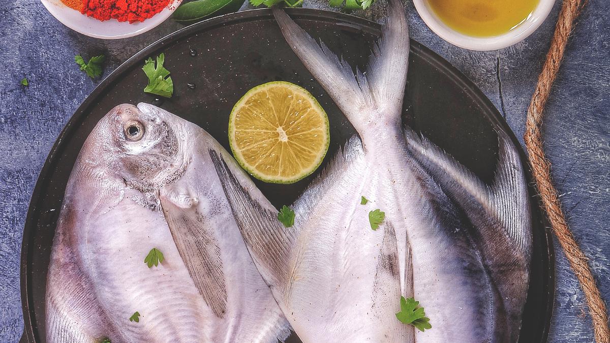 Rahasia Dapur! Cucian Beras Bisa Bantu Hilangkan Bau Amis pada Ikan Bawal