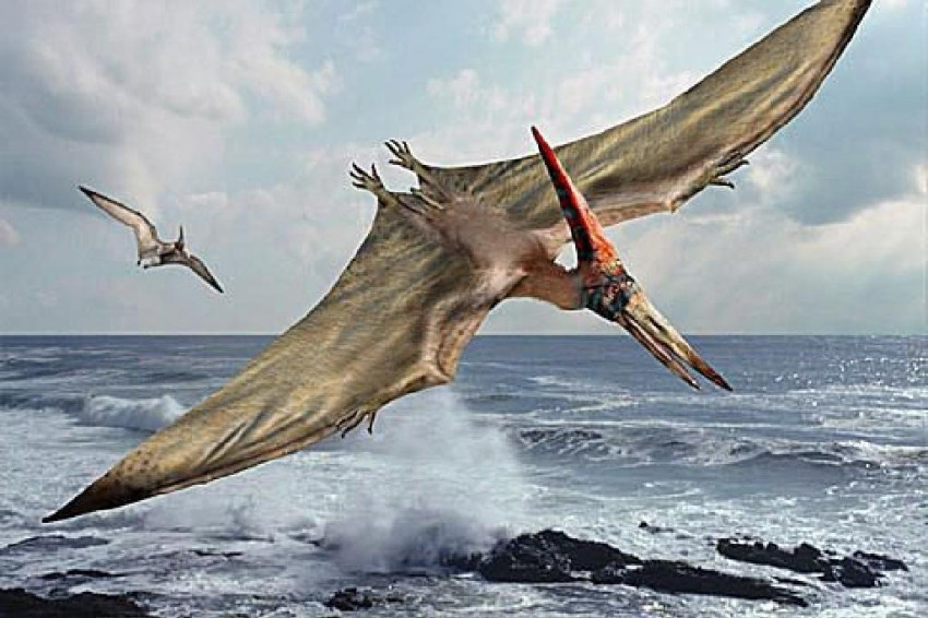 Dinosaurus dengan Sayap Selebar 5 Meter Ditemukan, Ini Wujudnya